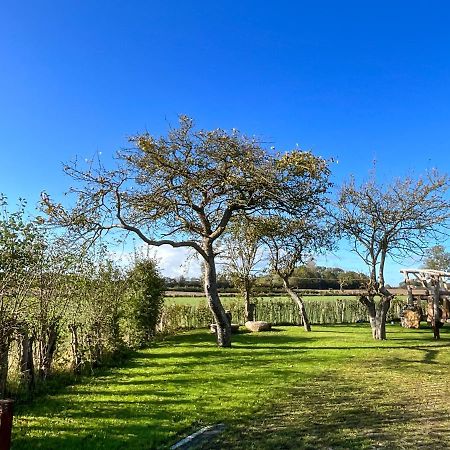 Ferienwohnung „Klueterkamer“ - Hof Muehlenkoppel Hasselberg  Esterno foto